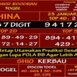 prediksi-virdsam-china-23-januari-2021-alexistogel