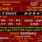 Prediksi Virdsam Sydney 13 Januari 2021