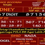 prediksi-virdsam-sidney-17.-januari2021-alexistogel