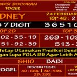 prediksi-virdsam-sidney-24-februari-2021-alexistogel