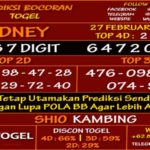 prediksi-virdsam-sidney-27-februari-2021-alexistogel