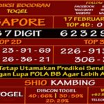 prediksi-virdsam-singapore-17-februari-2021-alexistogel