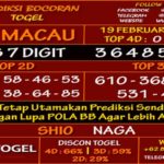 prediksi-virdsam-totomacau-19-februari-alexistogel