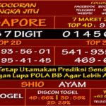 prediksi-virdsam-singapore-7-maret-2021-alexistogel